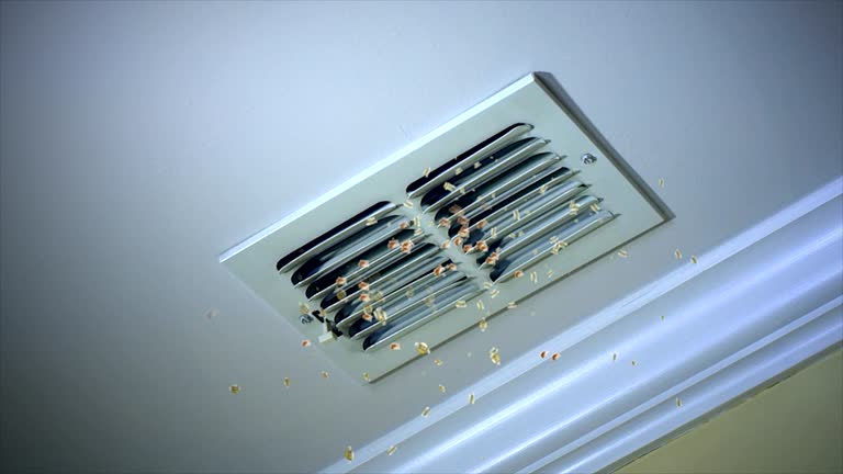 Best Ductwork Cleaning Services  in Stephens City, VA