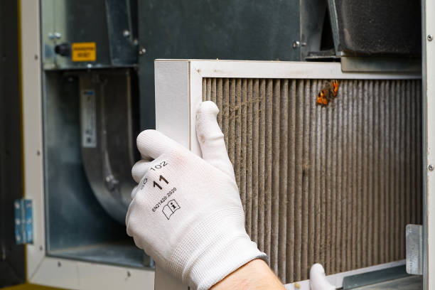 Best Emergency Air Duct Cleaning  in Stephens City, VA